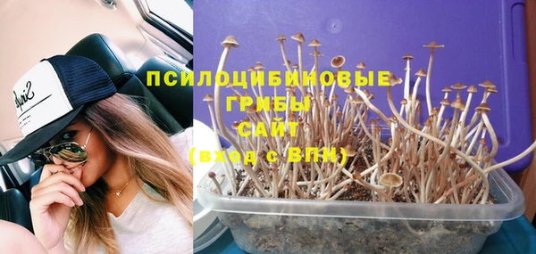 spice Алексеевка