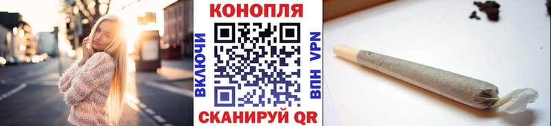 ссылка на мегу зеркало  Дмитровск  Конопля семена  цена  